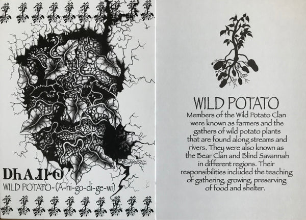 Cherokee Clan note cards