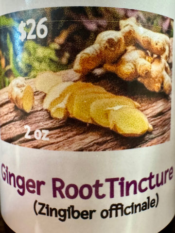 Ginger Root Tincture