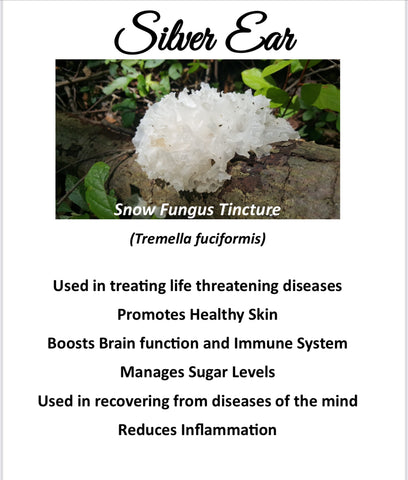 Snow Fungus Tincture