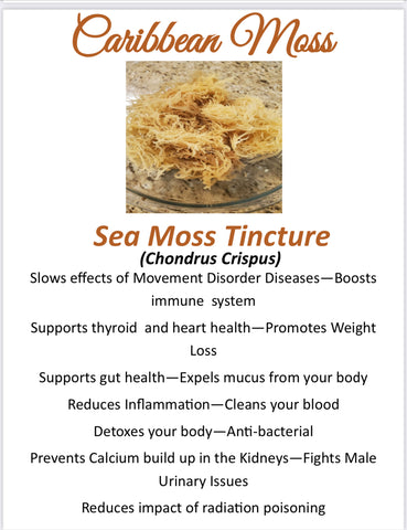 Sea Moss Tincture