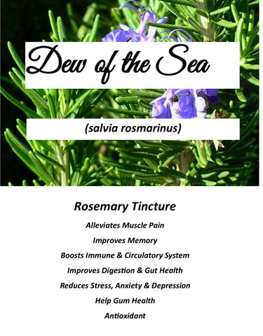 Rosemary Tincture