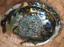 Abalone Shell Smudge bowl