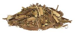 red willow bark tobacco Red Willow Inner Bark – Medicine Man Crafts