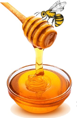 Local Sourwood Honey