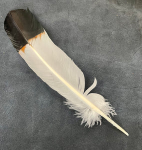 Artificial Eagle Feather