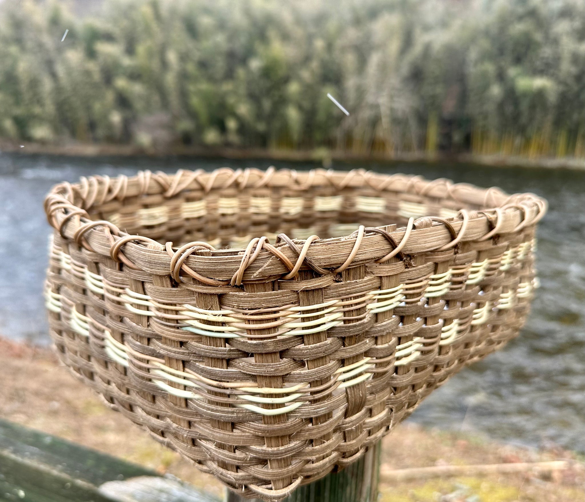 White Oak and Honeysuckle Basket 2